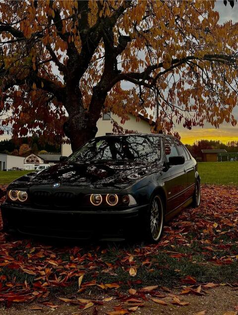 BMW E39 530d