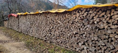 Buchen-Brennholz