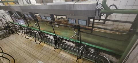 Westfalia Melkstand 2 x 5 FGM