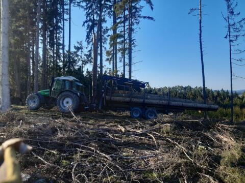 Holzausbringung
