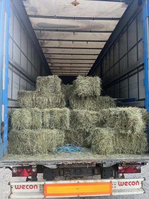 Kleinheuballen erster Schnitt