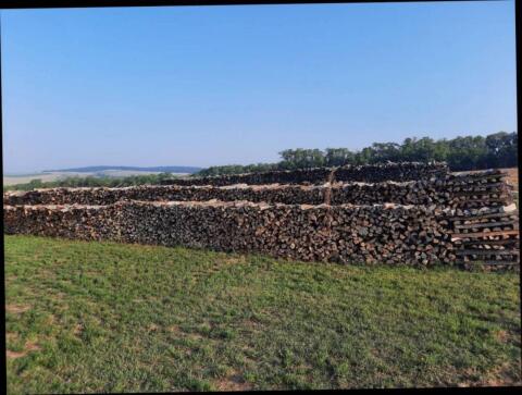 Brennholz