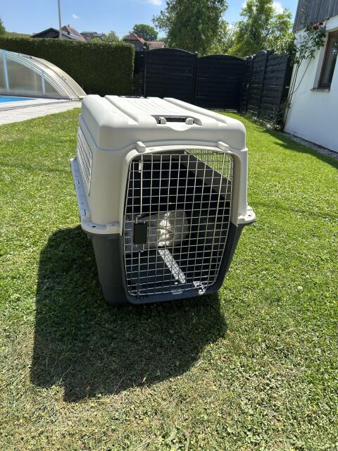 Karlie Flugzeugbox Nomad XL Hunde-Transportbox, kaum benutzt