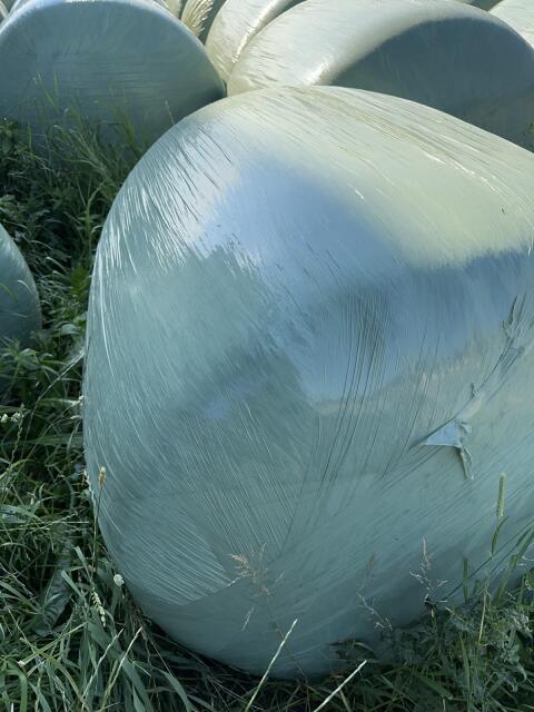 Maisballen
