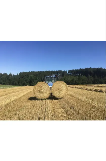 6 Stk. Strohballen