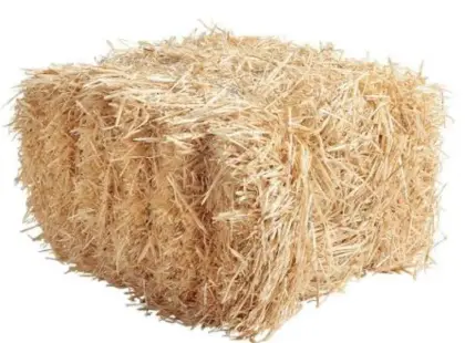 Stroh in Kleinballen Gerste