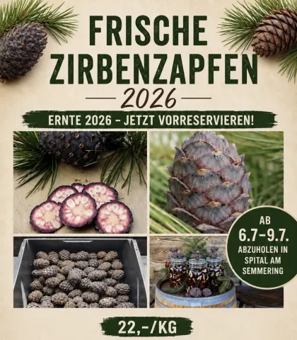 Zirbenzapfen 2026