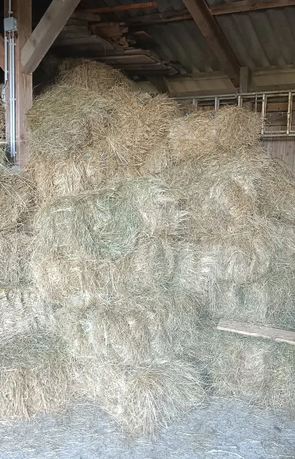Kleine Heuballen