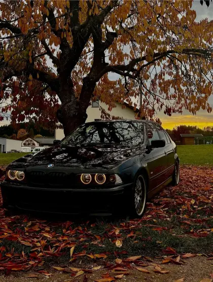 BMW E39 530d