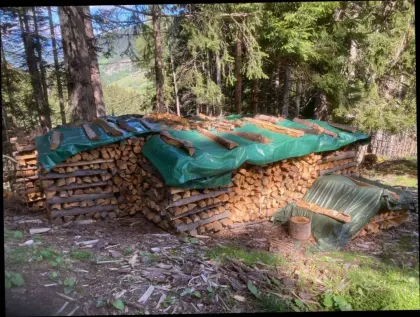 Brennholz 1 m Scheiter