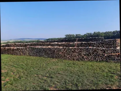 Brennholz