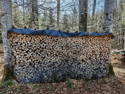 Brennholz gemischt