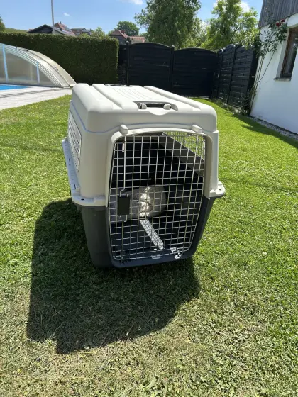 Karlie Flugzeugbox Nomad XL Hunde-Transportbox, kaum benutzt