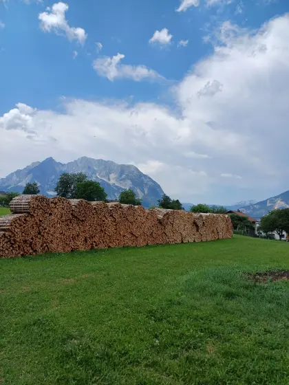 Buchenbrennholz