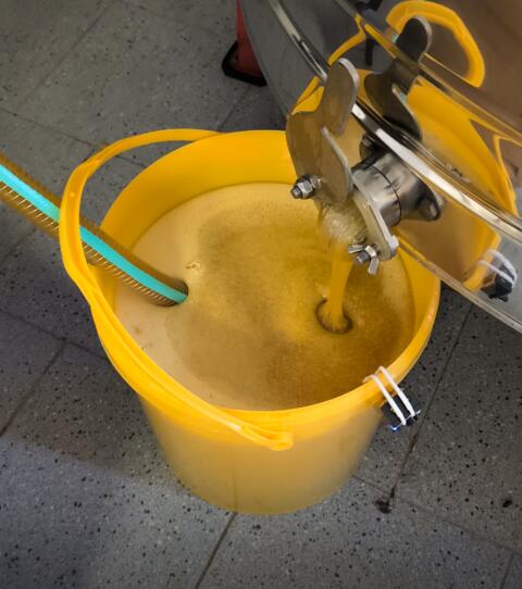 Bio-Honig im Hobbock oder Glas