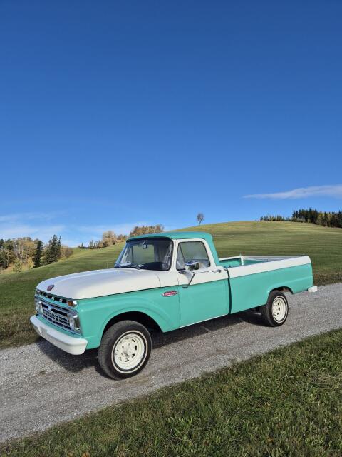 Ford F-Serie F100, F110 Pickup