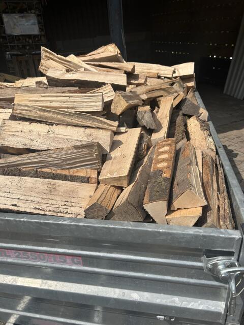 Buche Brennholz
