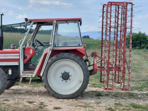 Hackstriegel Lely