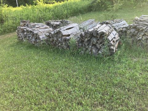 Brennholz Buche