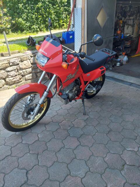 Honda Dominator 500 NX