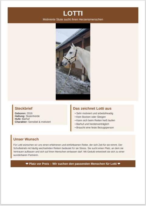Reitpferd, Stute