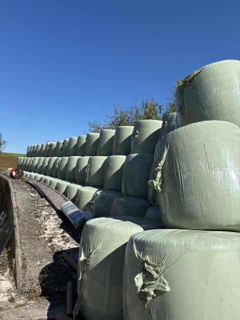 50 Stk. Maisballen RGT Auxkar