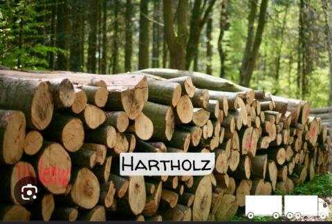 Suche Hartholz