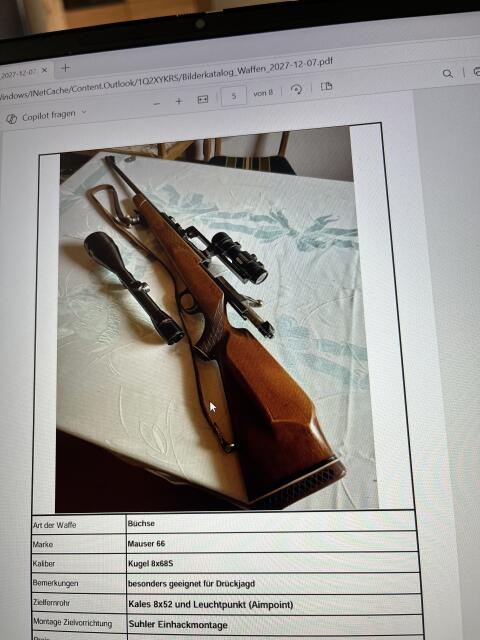 Büchse Mauser 66, Kugel 8x68S, Leuchtpunkt