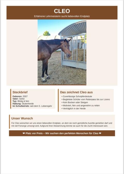 Zuchtstute, Pensionspferd