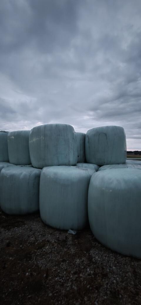 Silageballen