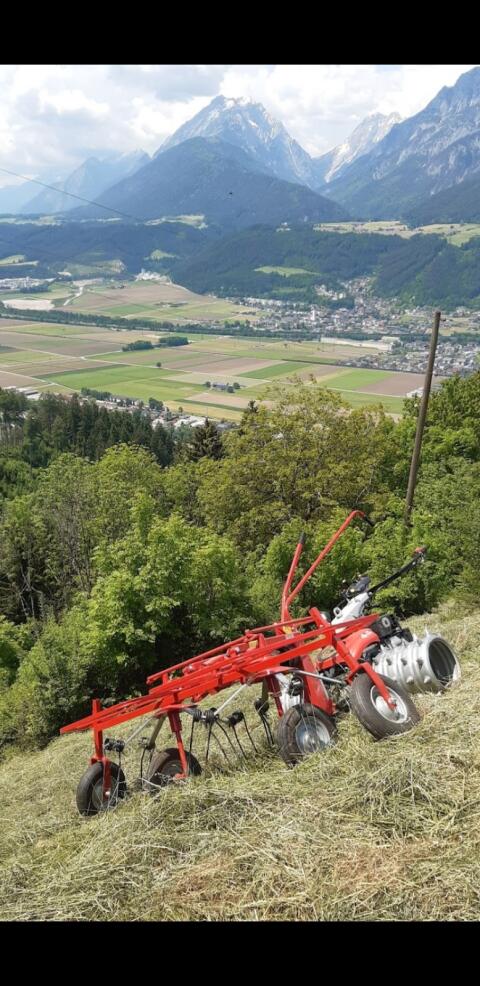 Molon 2-Stern-Kreisler für Motormäher