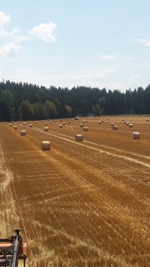 Stroh ab Feld