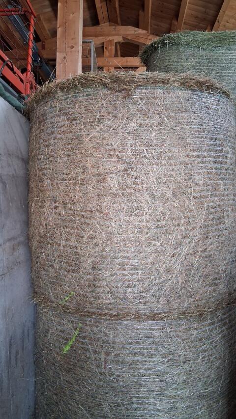 Heuballen 1. Schnitt