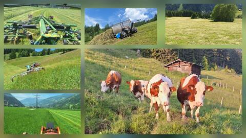 Suche Landwirtschaft zu pachten/Leibrente