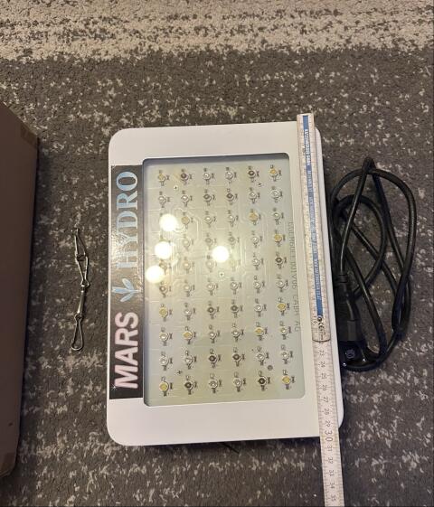 LED-Licht