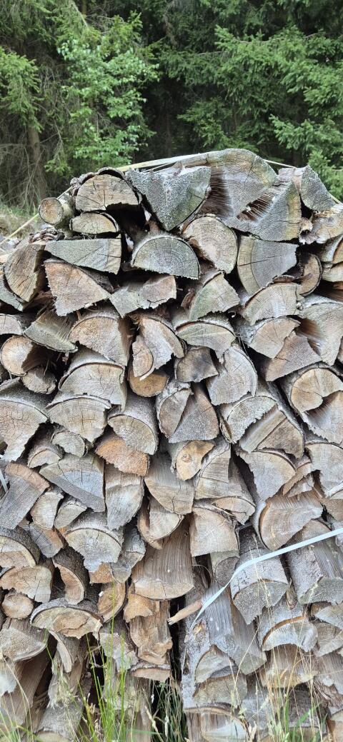 Brennholz