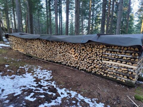 Brennholz