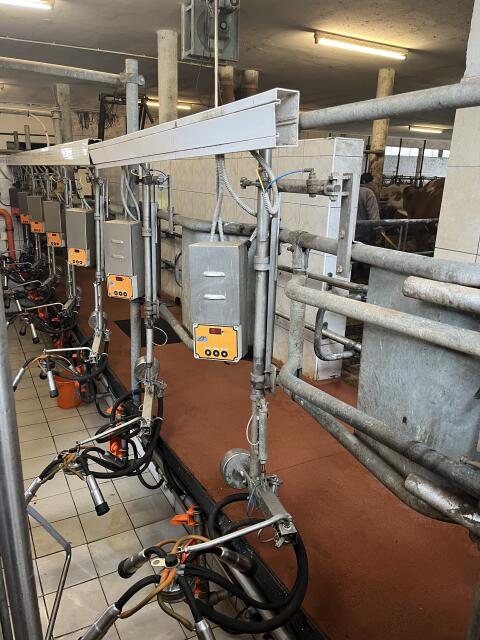 7er-Fischgrätenmelkstand inkl. Reinigung zu verkaufen