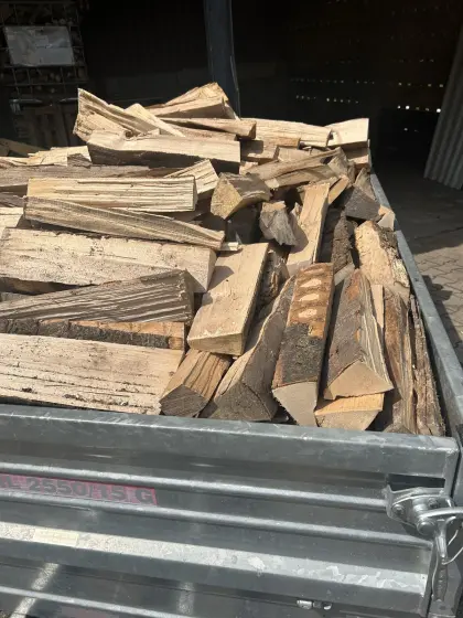Buche Brennholz