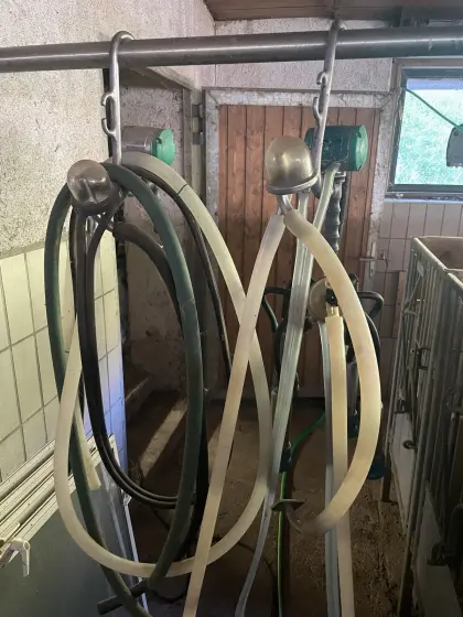 Milchgehänge Westfalia