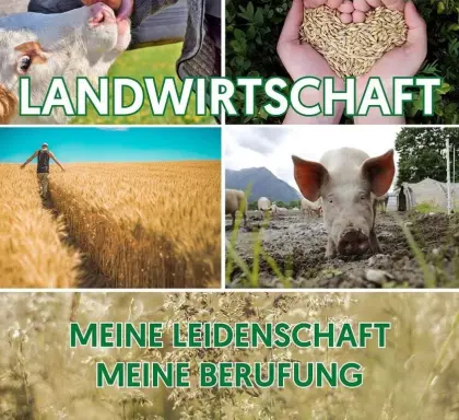 Suche verantwortungsvolle Aufgabe in Milchviehbetrieb