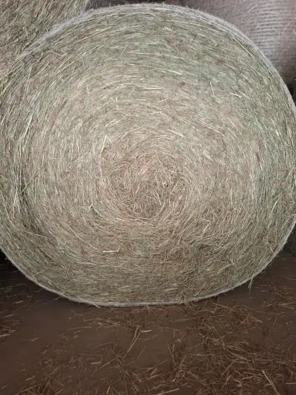 Heuballen 1. Schnitt 2026, perfekt für Pferde