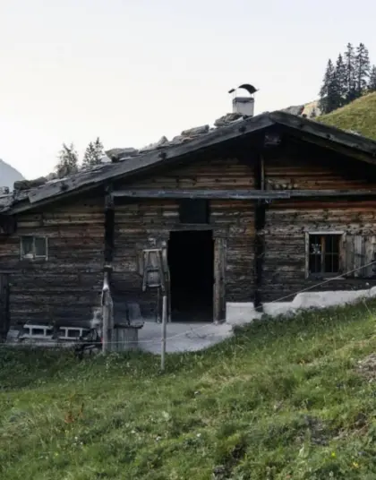 Suche Alm zum Kaufen