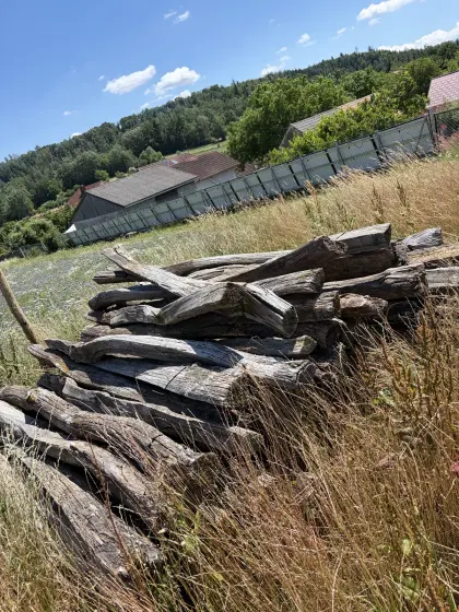 Verkaufe Akaziesteher, Koppelsteher