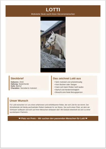 Reitpferd, Stute