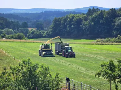 Suche 1–2 ha Grünland/Acker 8.505 Sankt Nikolai im Sausal