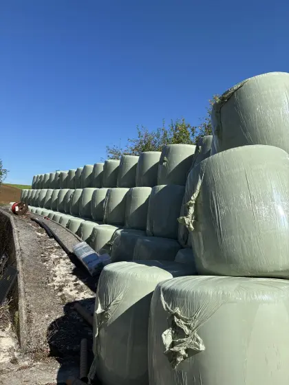 50 Stk. Maisballen RGT Auxkar