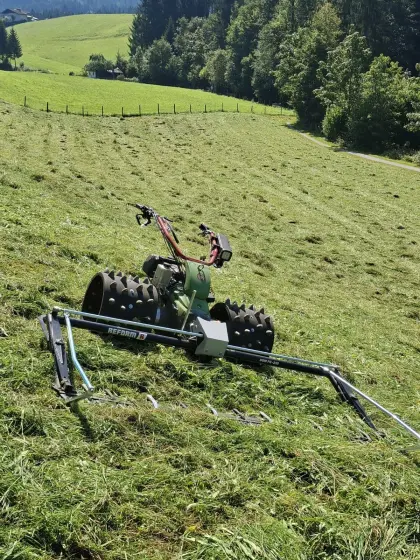 Suche Flächen