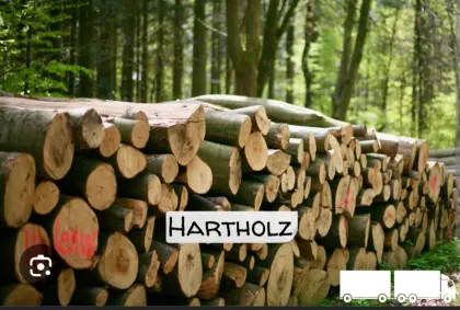 Suche Hartholz