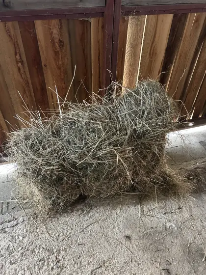 Heu Kleinballen